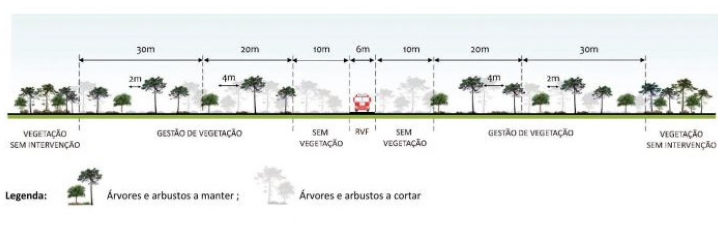 (ICNF) Rede Primária Faixas Gestão Combustível